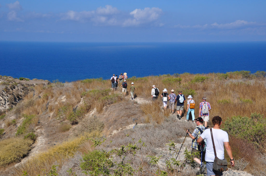 Discover Thirassia Tour from Santorini