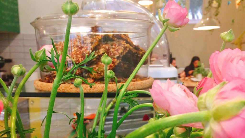 Ancient Greek Meditation and Vegan Brunch