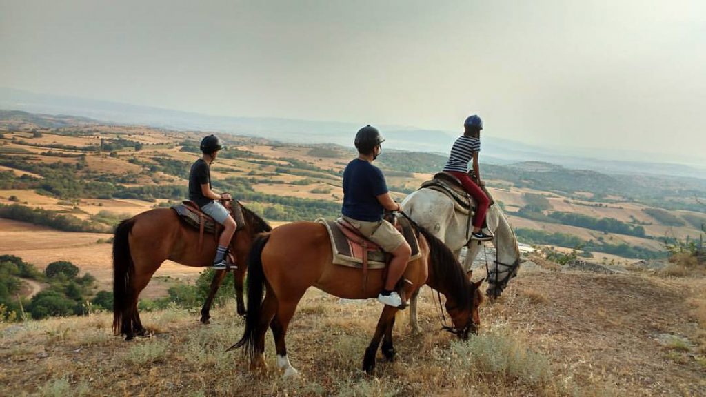 Horse Riding for experienced Equestrians in Thessaloniki